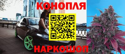 соль ск Бердск