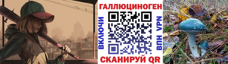 Галлюциногенные грибы MAGIC MUSHROOMS  где найти   Невинномысск 